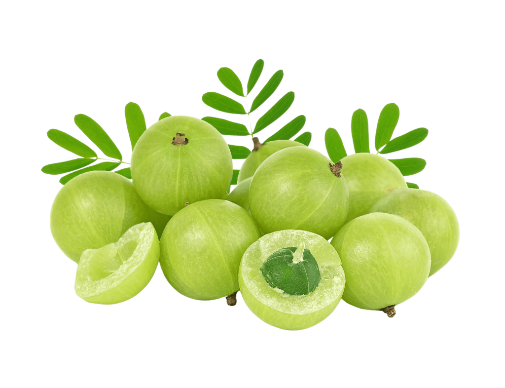 Indian Gooseberry